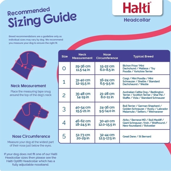 Halti Head Collar No Pulling for Loose Leash Walking Large Dog Collar Size 3 - Picture 3 of 5